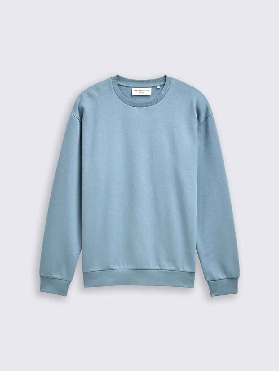 basic sweatshirt