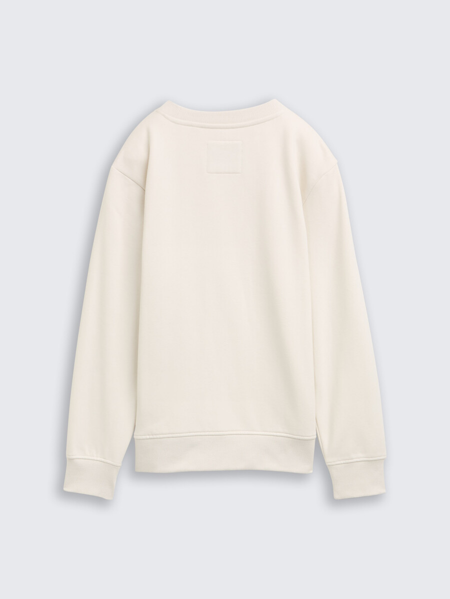 basic sweatshirt