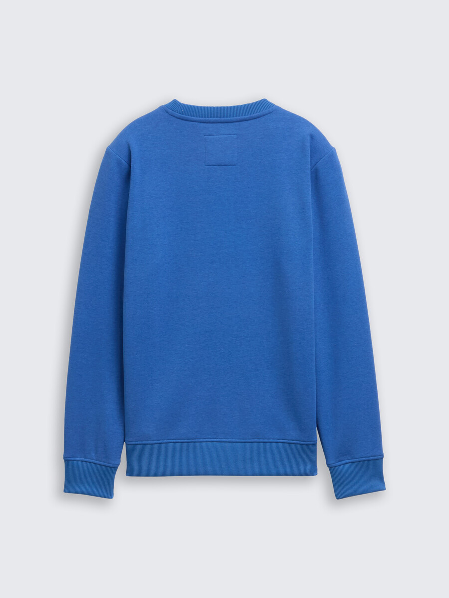 basic sweatshirt